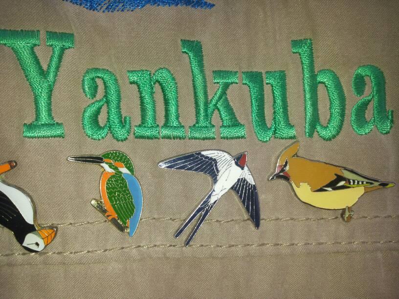 Yankuba-Birding-Guide
